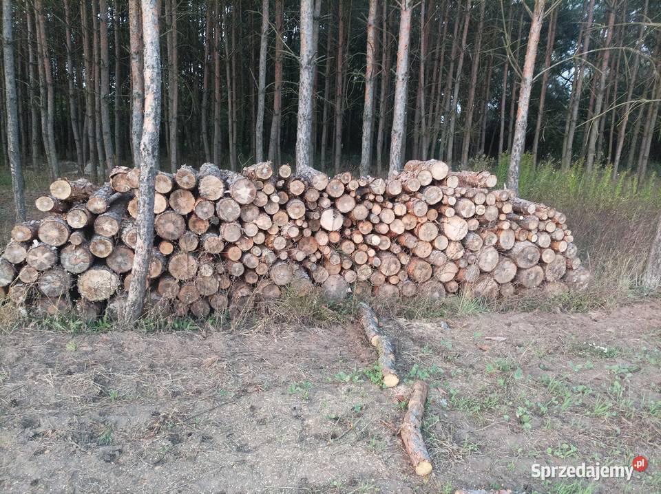 Drewno opałowe sosna Drewno opałowe sosna Ruda