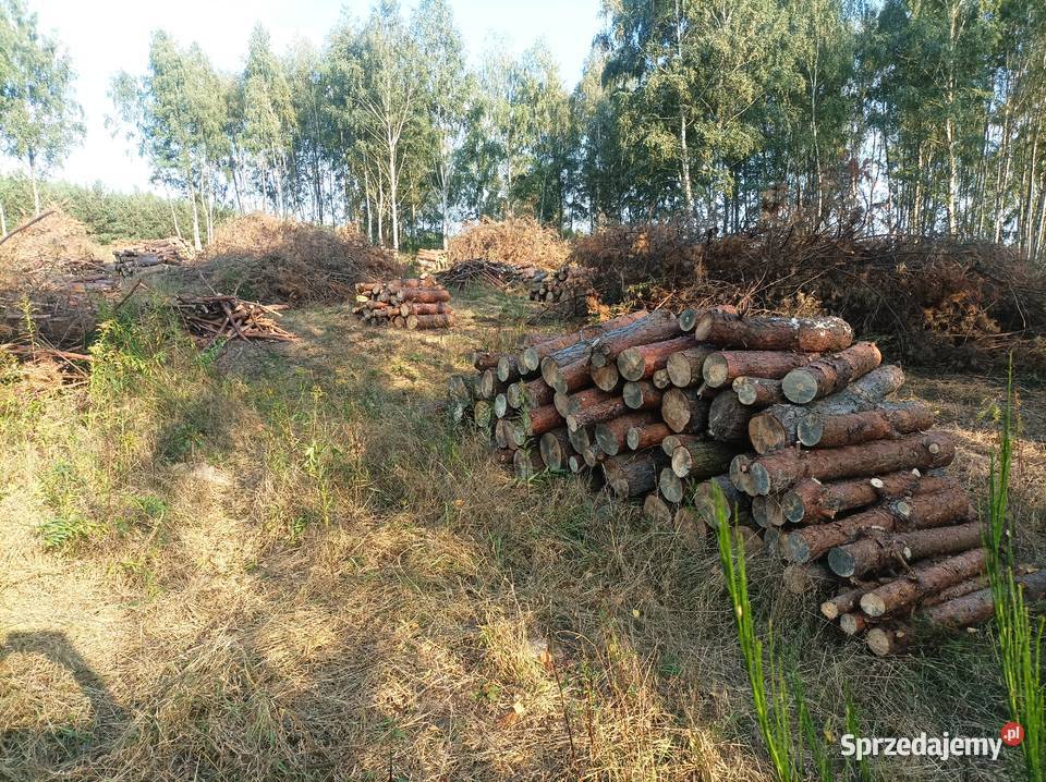 Drewno opałowe sosna Drewno opałowe sosna Ruda