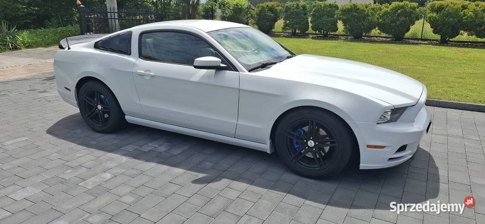 Ford Mustang 37 V generacja V6 poliftowy mały Motoryzacja śląskie Jastrzębie-Zdrój