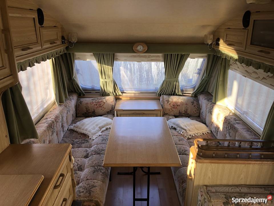 ELDDIS EQUIPE Czapury