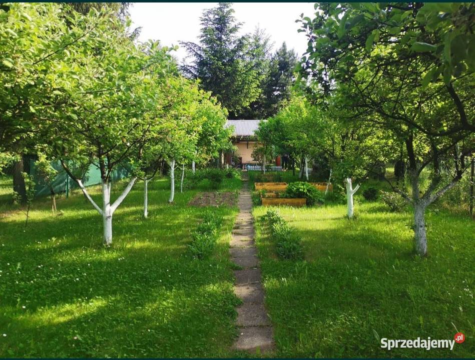 Działka ROD Bonarka Kraków