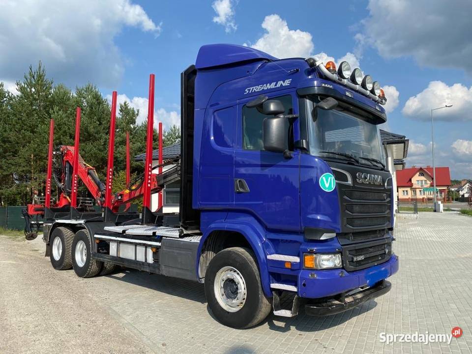 Do drzewa Lasu 567000km