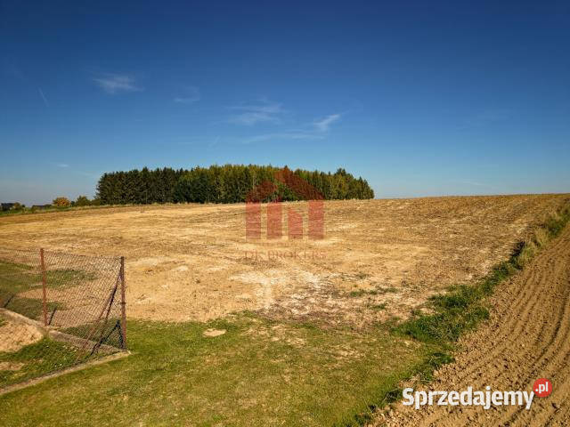 sprzedaży gruntu Gnojnica 1400m2 40m