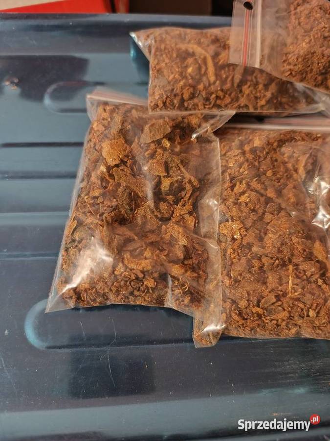 Propolis Kit Pszczeli 2024 Miód z własnej Lublin