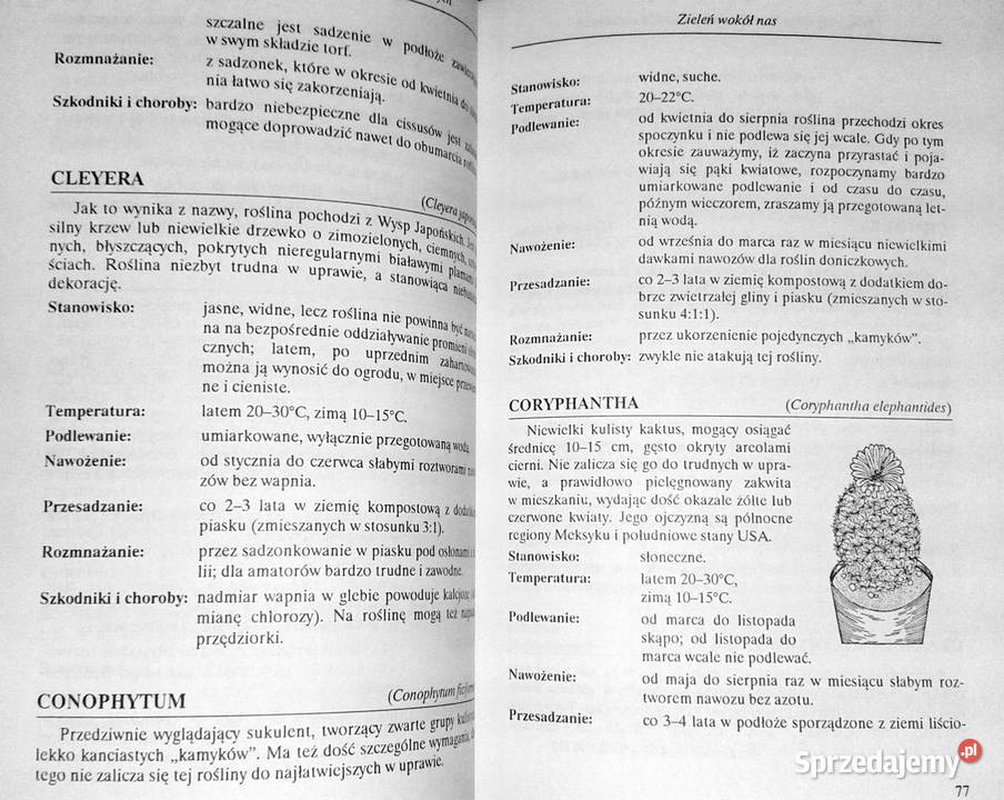 Mała encyklopedia doniczkowych roślin ozdobnych Chełm