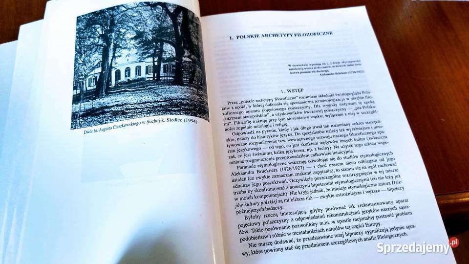 Orientacje i doktryny filozoficzne z dziejów tradycyjny podręcznik Gdańsk