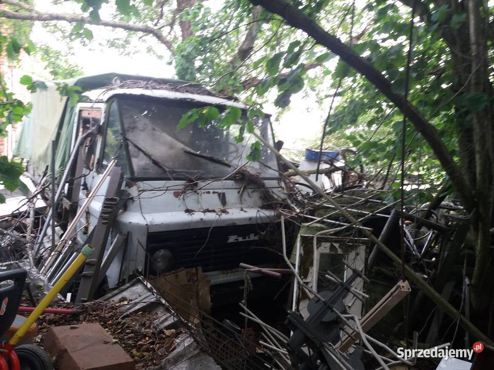 Sprzedam żuka dolnośląskie