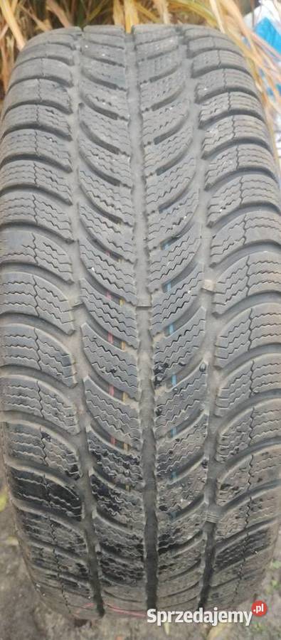 Koła zimowe wielkopolskie Poznań