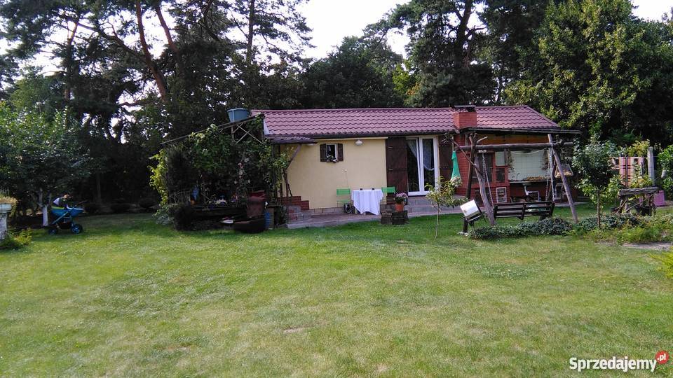 Działka rekreacyjna jez Miedwie Koszewo 500m2 woda zachodniopomorskie Koszewo