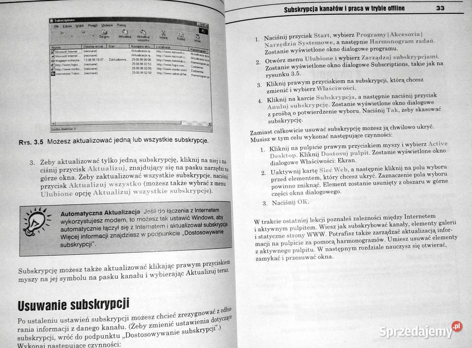 Poznaj Windows 98 w 10 minut Jennifer Fulton Chełm