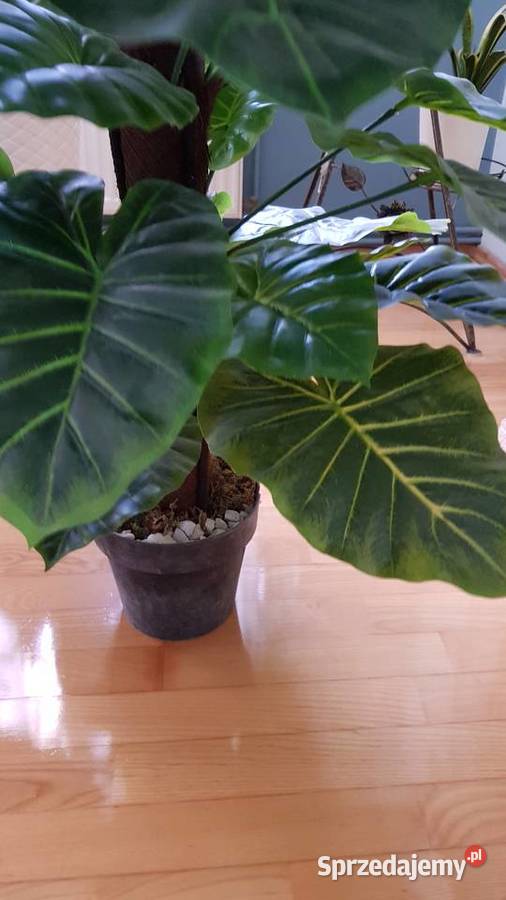 Sztuczny Filodendron Monstera