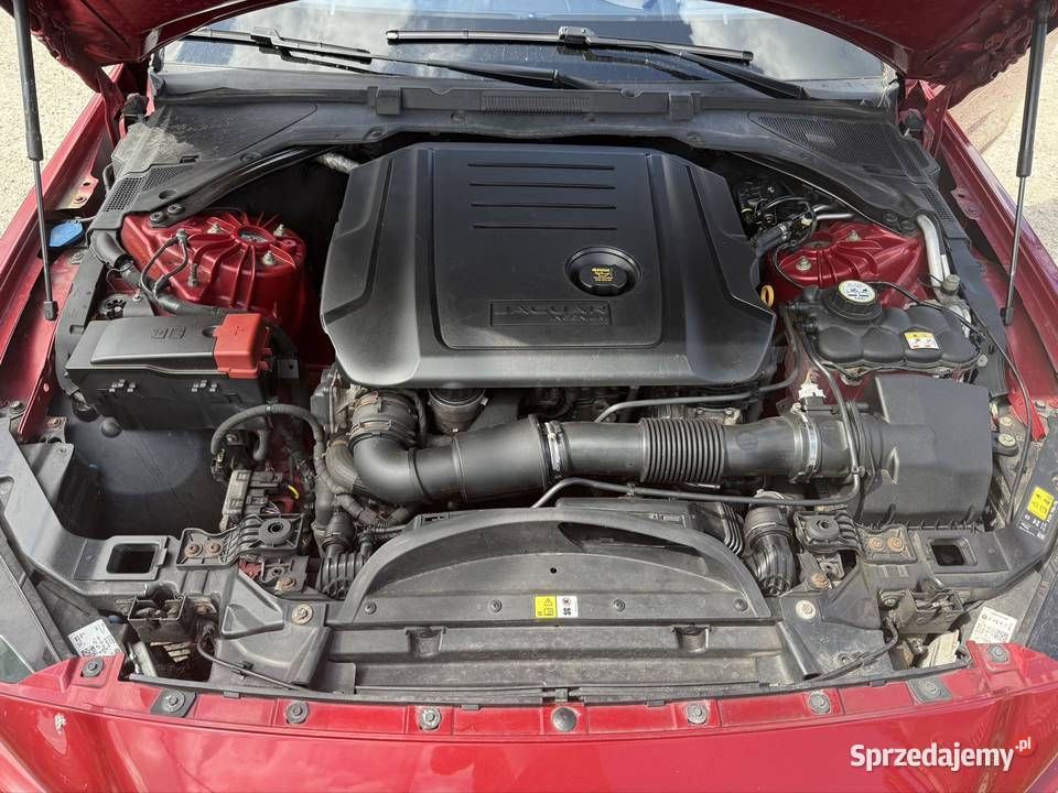 Jaguar xe nowy ESP małopolskie Nowy Sącz