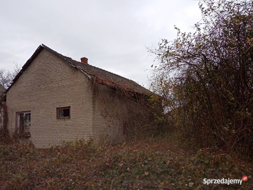 Sprzedam dom Głuchów