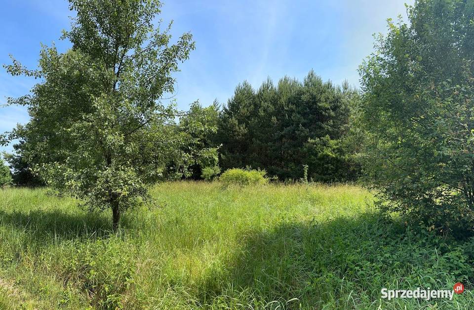 Działka w otulinie lasu Trzebule sprzedam