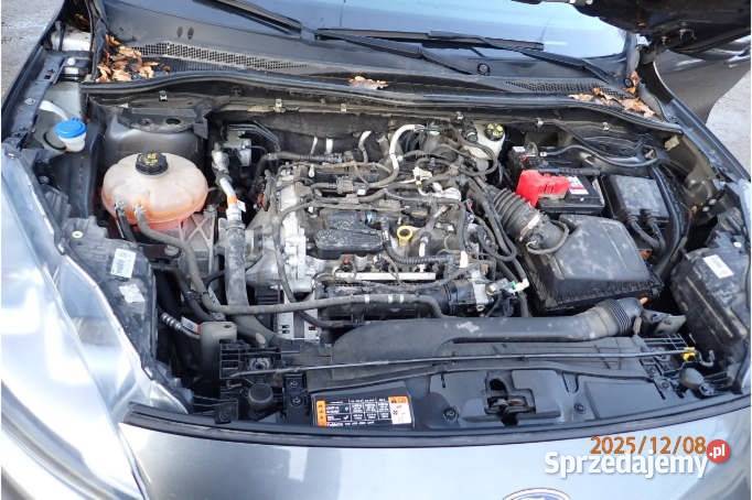 FORD KUGA 2021 149900 ccm 150 Rok produkcji 2021 Warszawa