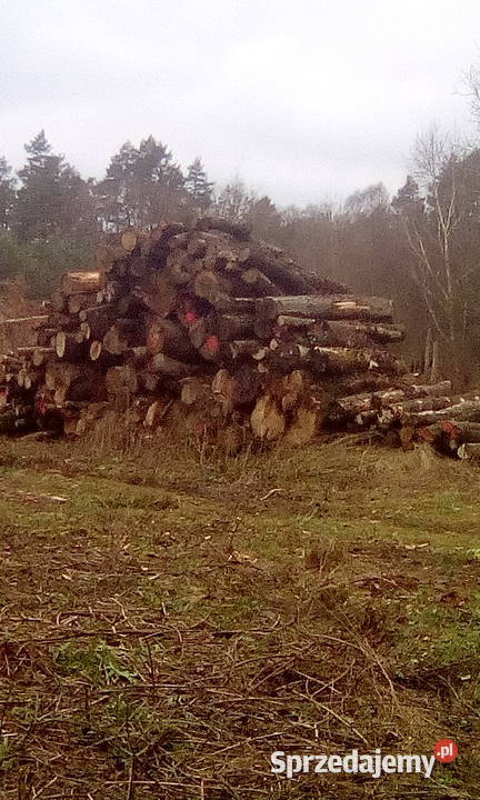 Tanie drewno kominkowe i opałowe Bobolice