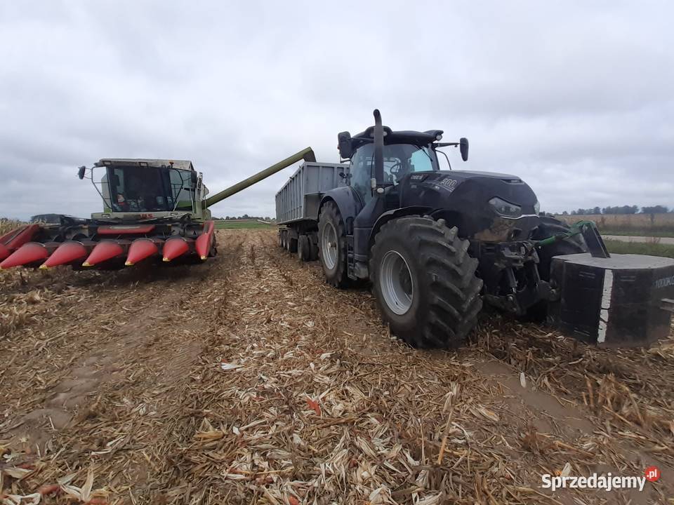 Usługi koszenia kukurydzy na ziarno agregat Pozostałe Rolnictwo