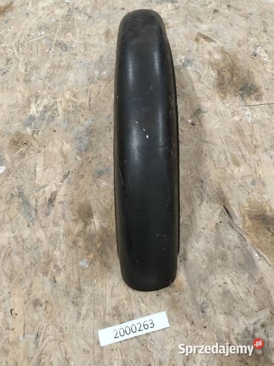 Komar błotnik przedni Rozkochów