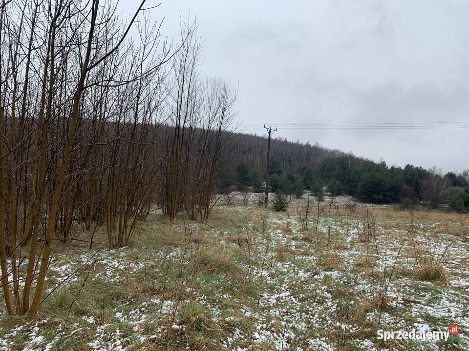 Syndyk sprzeda nieruchomość Częstochowa