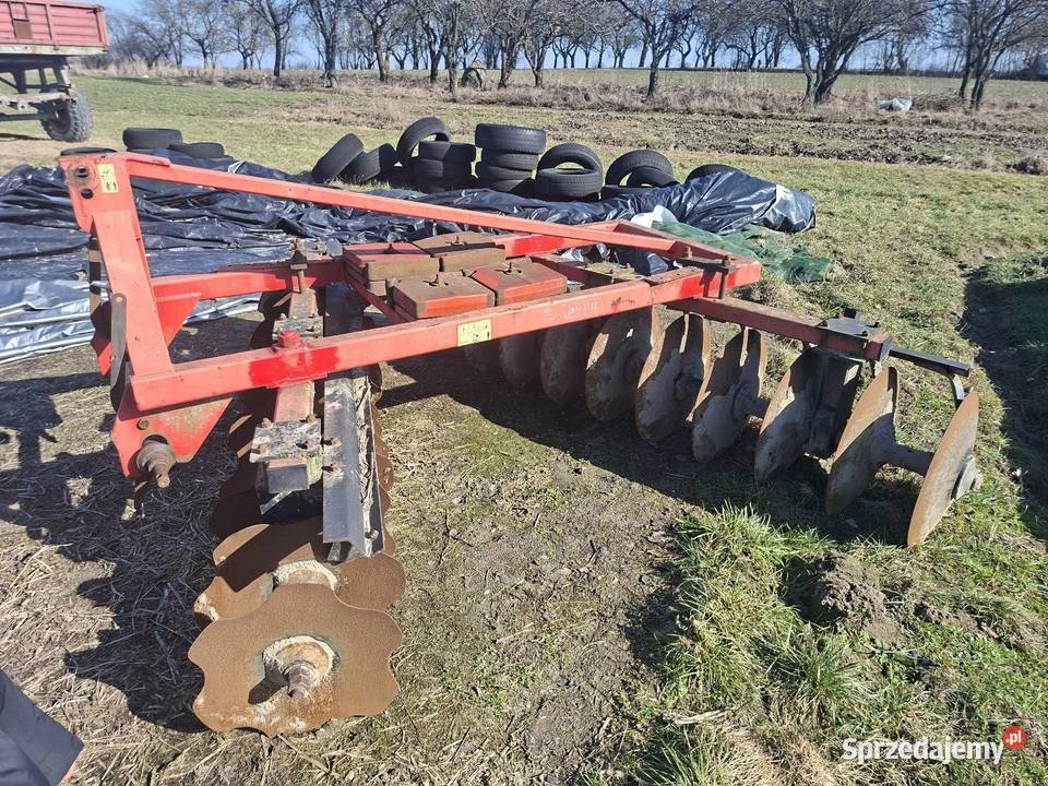 Talerzówka nieuszkodzony Zychorzyn