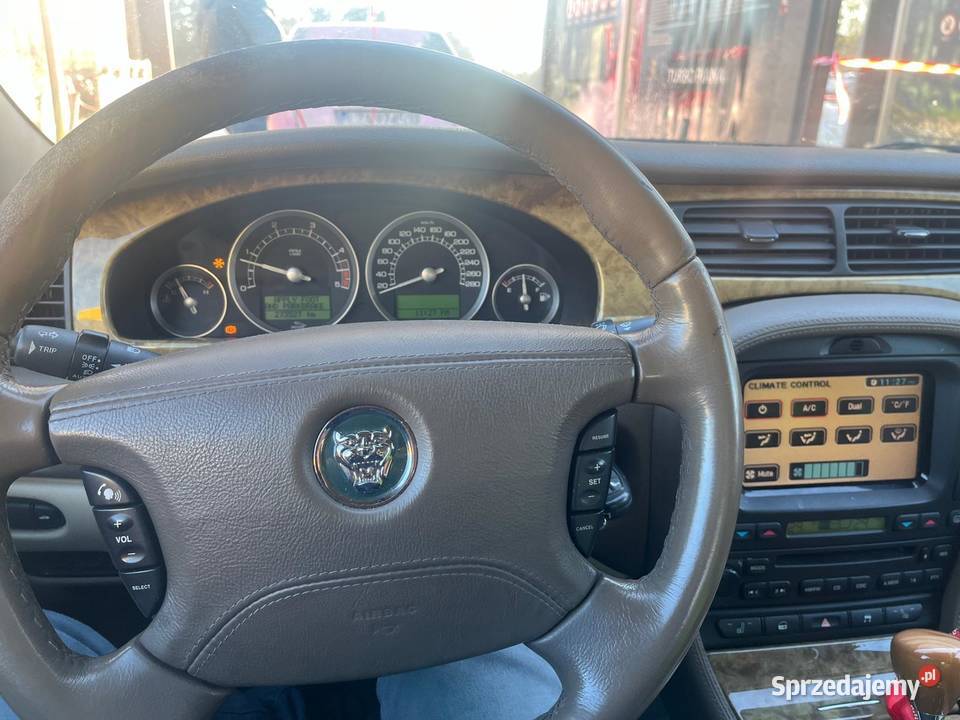 Jaguar stype lubelskie Zamość