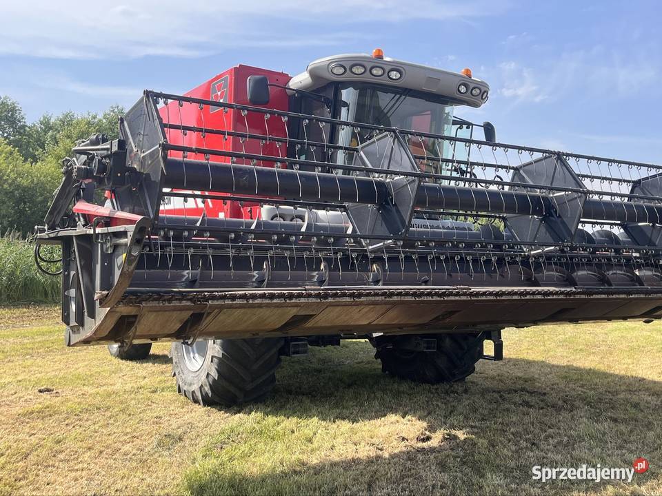 Kombajn zbożowy Massey Ferguson Centora 7282 AL Drohiczyn