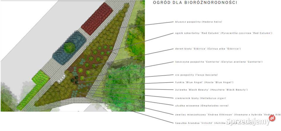 Projektowanie i zakładanie ogrodów mazowieckie