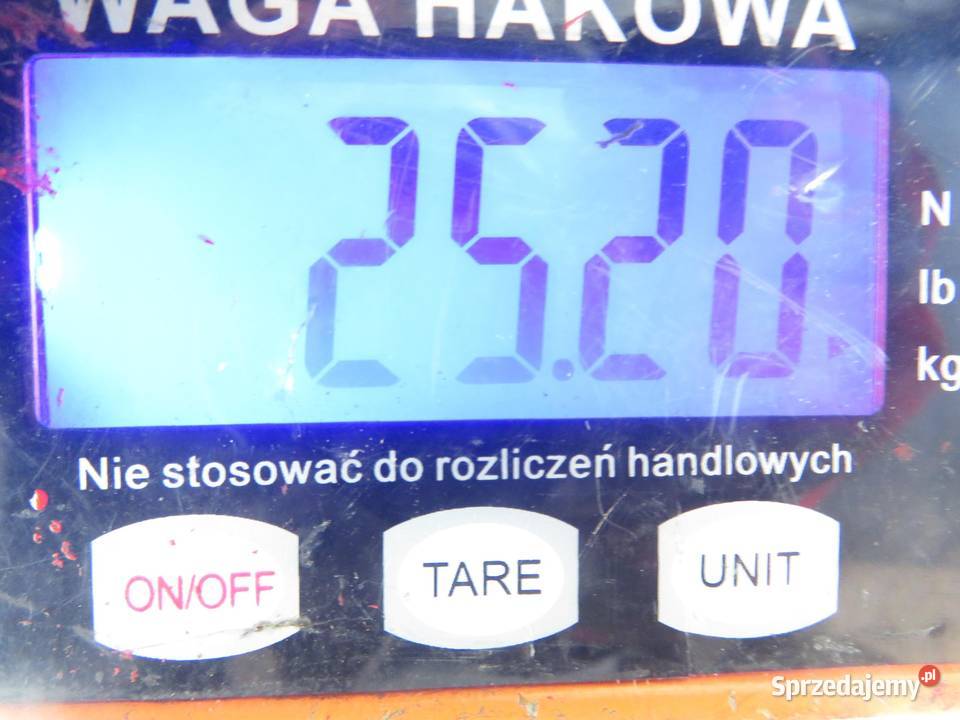 SANKI PRZÓD FORD S I WA6 16 EcoBoost JTWB małopolskie