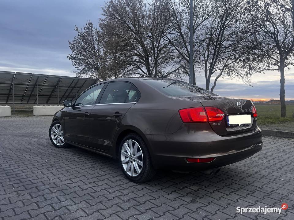 VW Jetta VI Rydzyna
