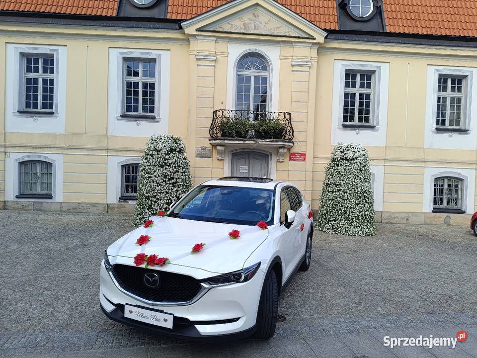 Przewóz osób na lotnisko Białystok