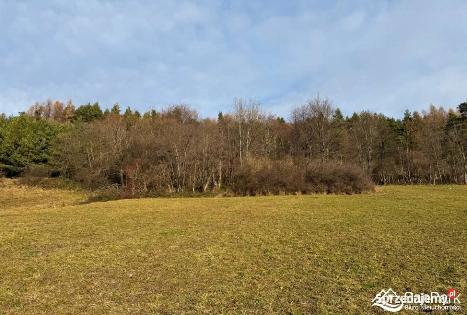 Działka 26273m2 Ustrzyki Dolne sprzedam