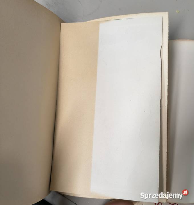 Gdyby cała Afryka Kirgiz schodzi z konia Ryszard śląskie Sosnowiec sprzedam