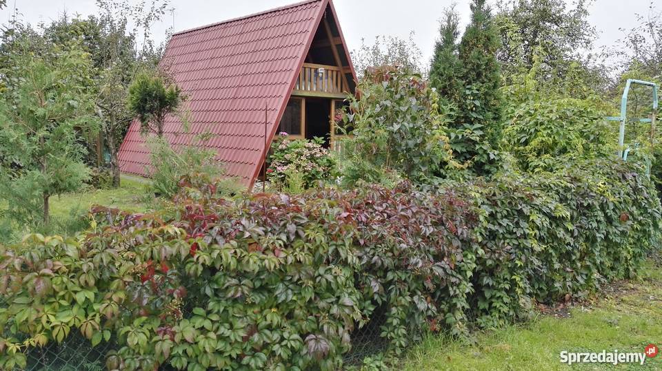 Działka Rekreacyjna ROD Poznań osWarszawskie Poznań