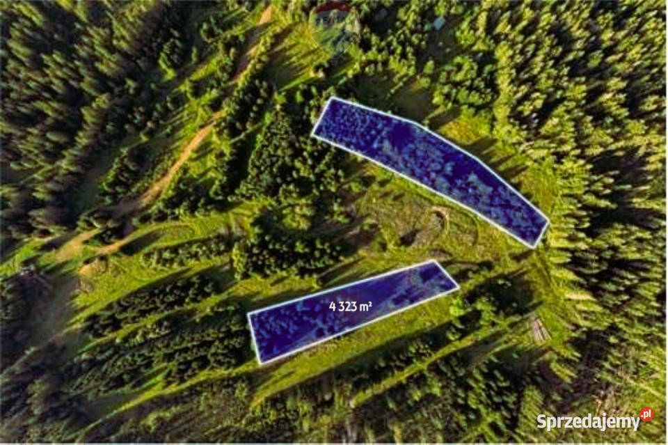 DZIAŁKI ROLNE SPRZEDAŻ DZIANISZDZIEDZICÓWKA Dzianisz