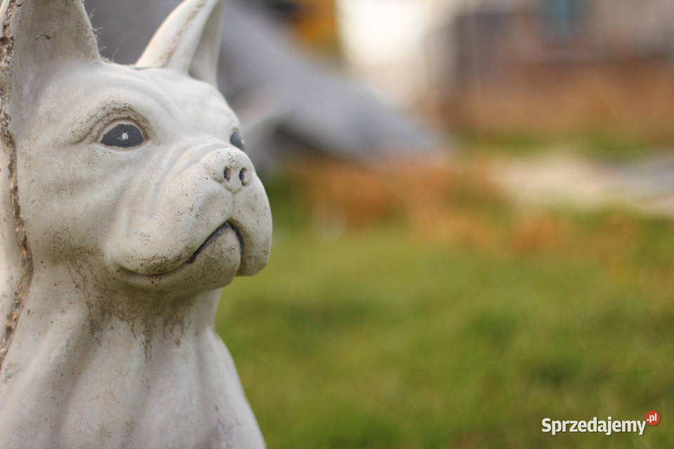 Figury rzeźby ogrodowe betonowe pies Goliszów