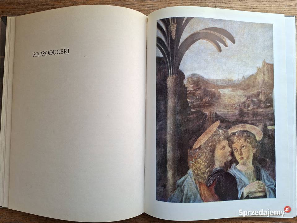 Leonardo da Vinci j rumuński Rok wydania 1978 Kraków