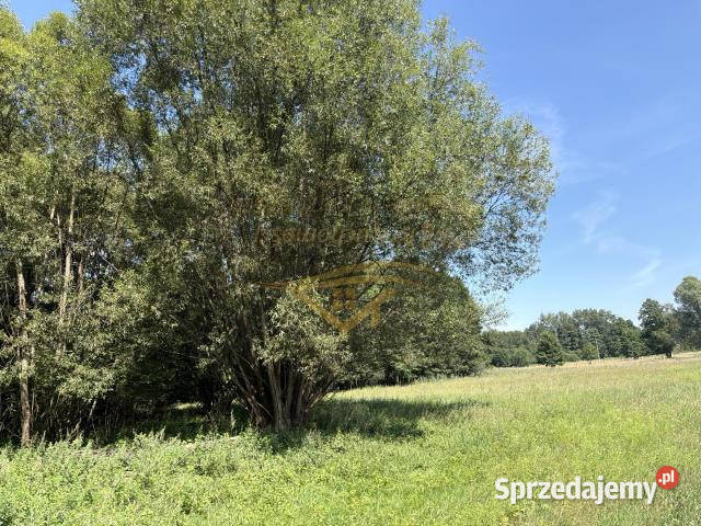 sprzedaży działki Budy Zosine 5700m2