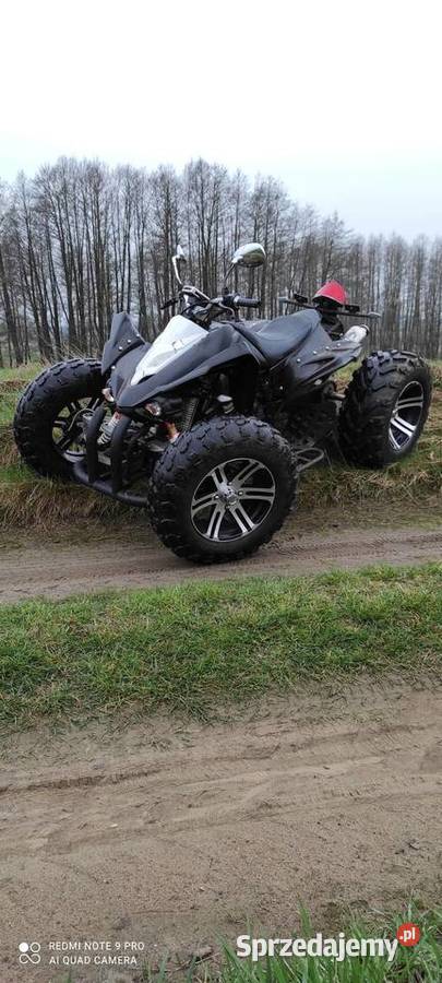 Jinling 250 Rok produkcji 2012 Pozostałe Pleszew