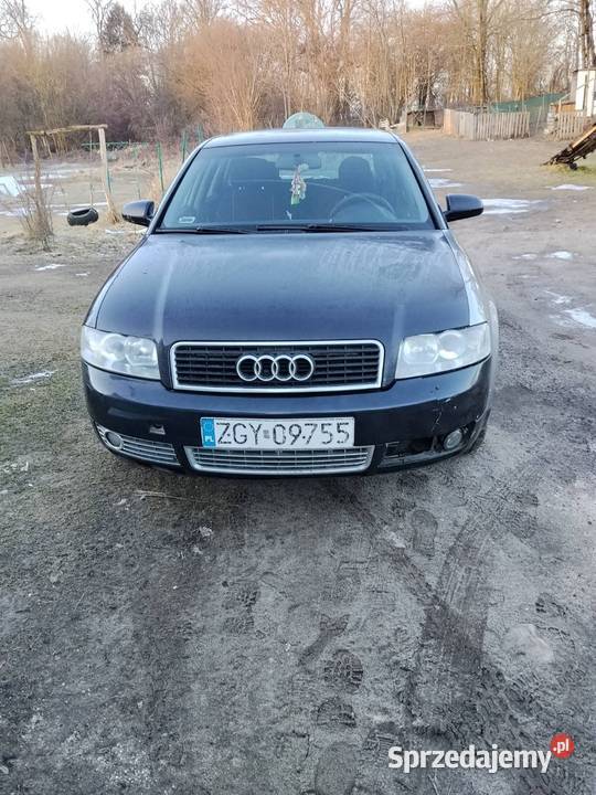 Audi a4b6 Kołobrzeg