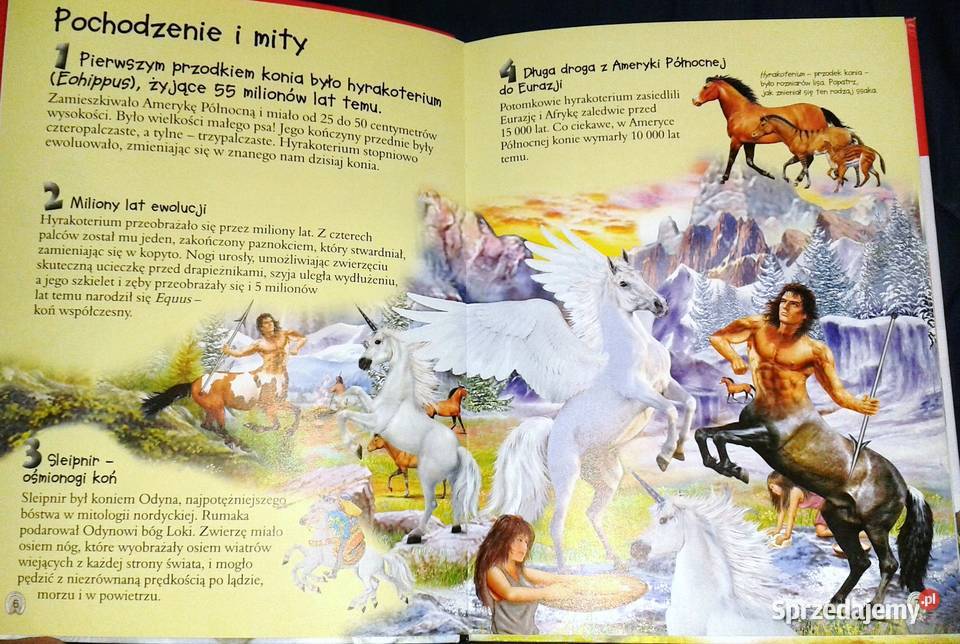 101 ciekawostek Konie Anais Puygrenier Rok wydania 2015 Chełm