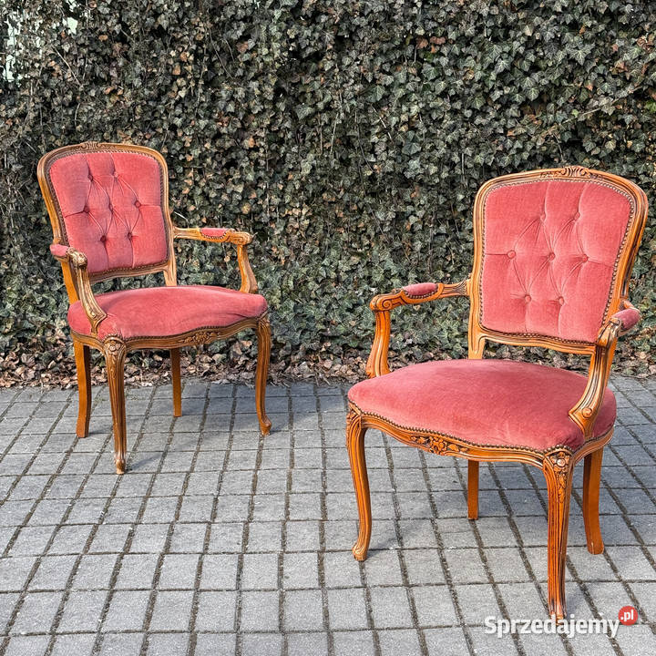 ARTexpert Para foteli Ludwik fotel siedzisko Dobrzany