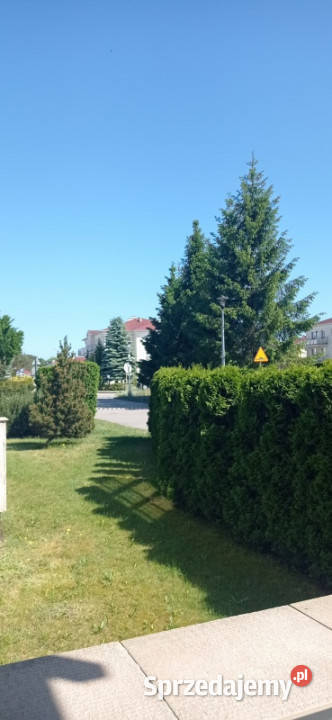 Sprzedam apartament w Grzybowie na Osiedlu balkon Grzybowo