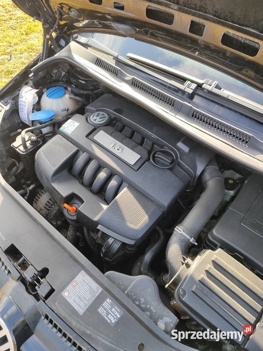 Sprzedam Volkswagen Golf Plus 2007 16 MPI 102 Kielce sprzedam