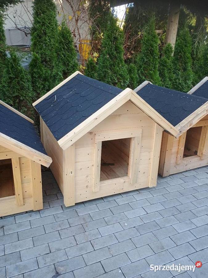 Budy psów Dąbrowa Tarnowska