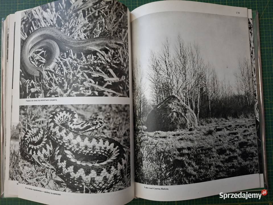 W krainie Czarnej Hańczy Włodzimierz Puchalski Kraków