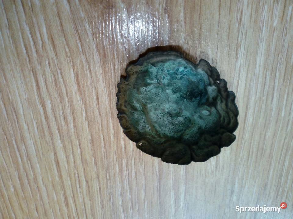 Lew z czako hełmu Przemyśl