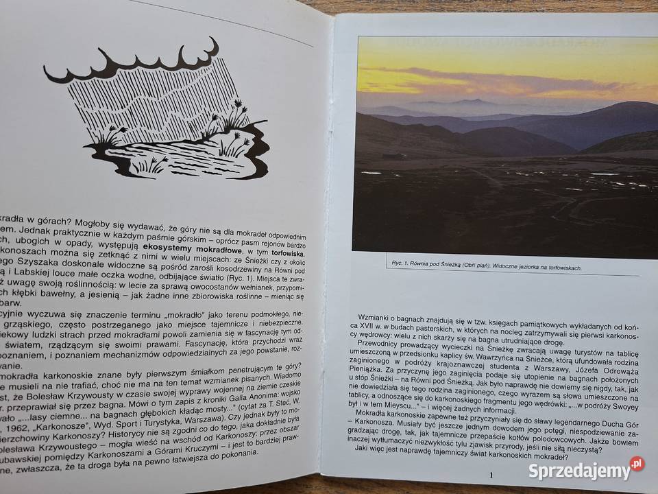Torfowiska Karkonoszy Natura 2000 w Karkonoskim