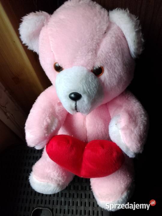 Sprzedam misia pluszowego Kwidzyn