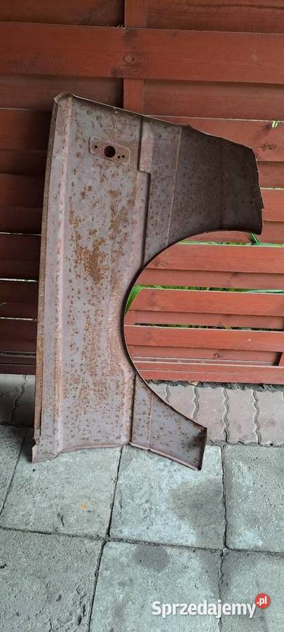 Polonez borewicz poszycie blotnika blotnik mazowieckie Mińsk Mazowiecki
