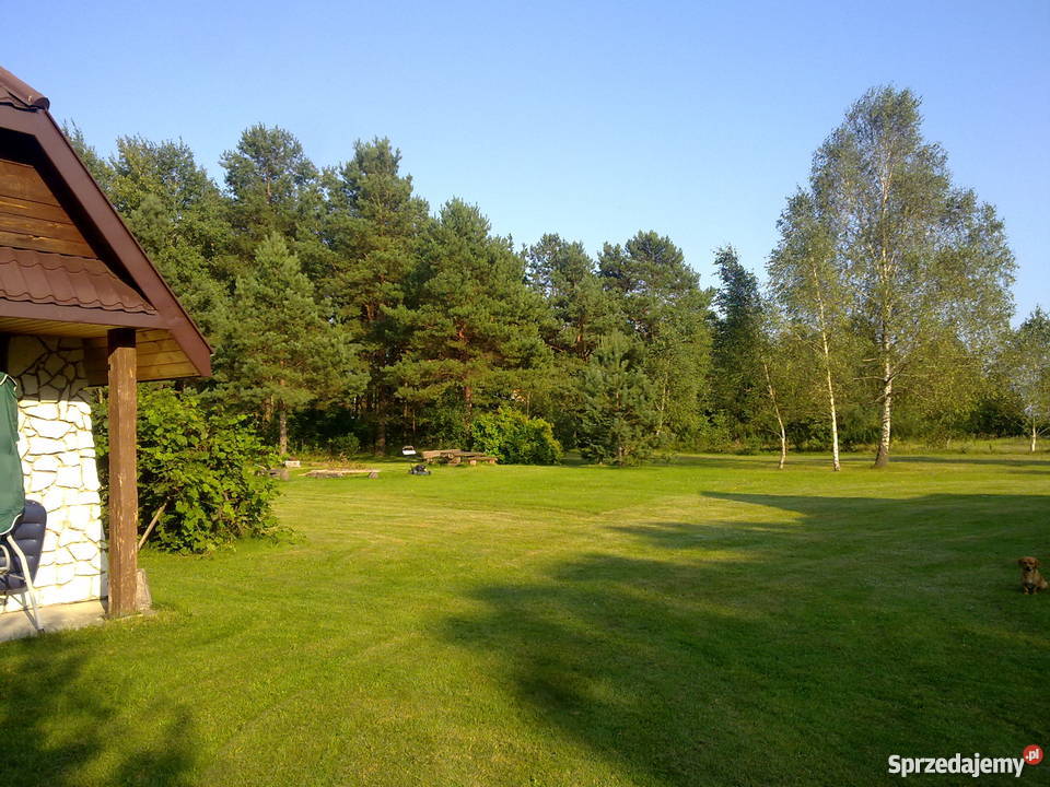 Domek z działką Bugiem Sobibór wieś Dubnik blacha Sobibór sprzedam